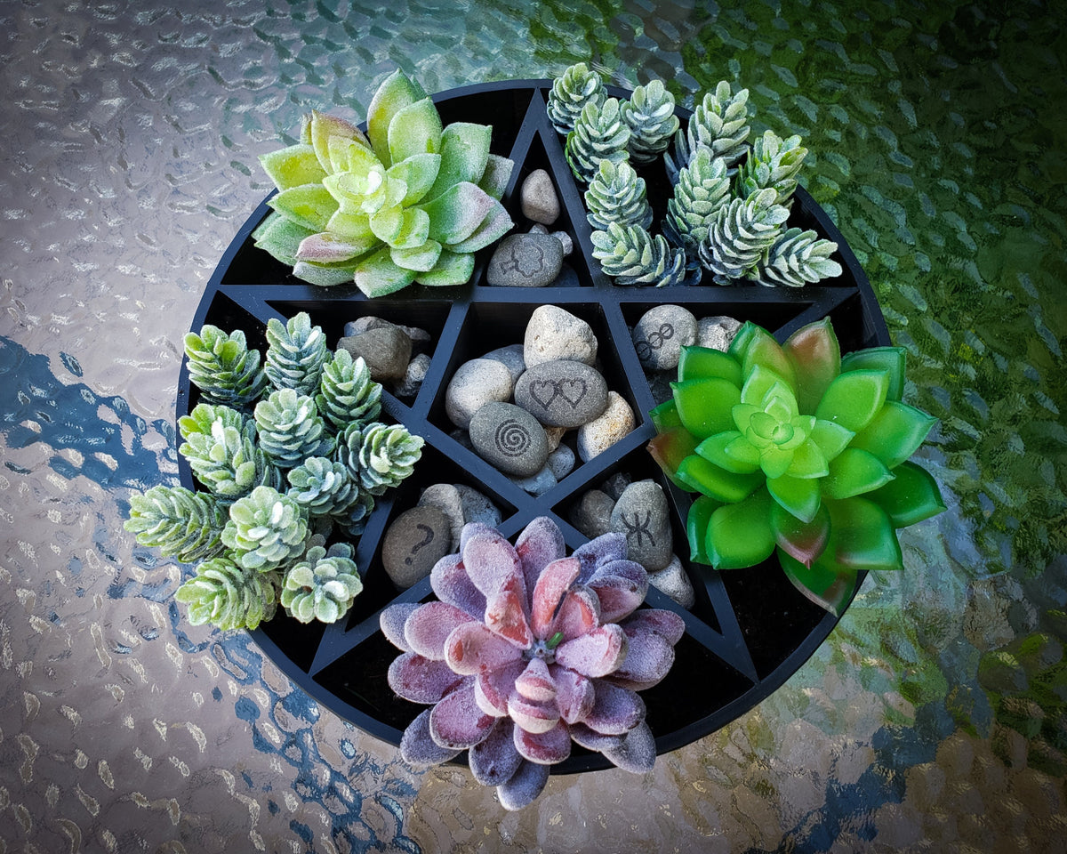 M✧succulent ·͜· ︎︎ᕷ Plantagram Pentagram Star Succulent Planter v2 • Gothic Home