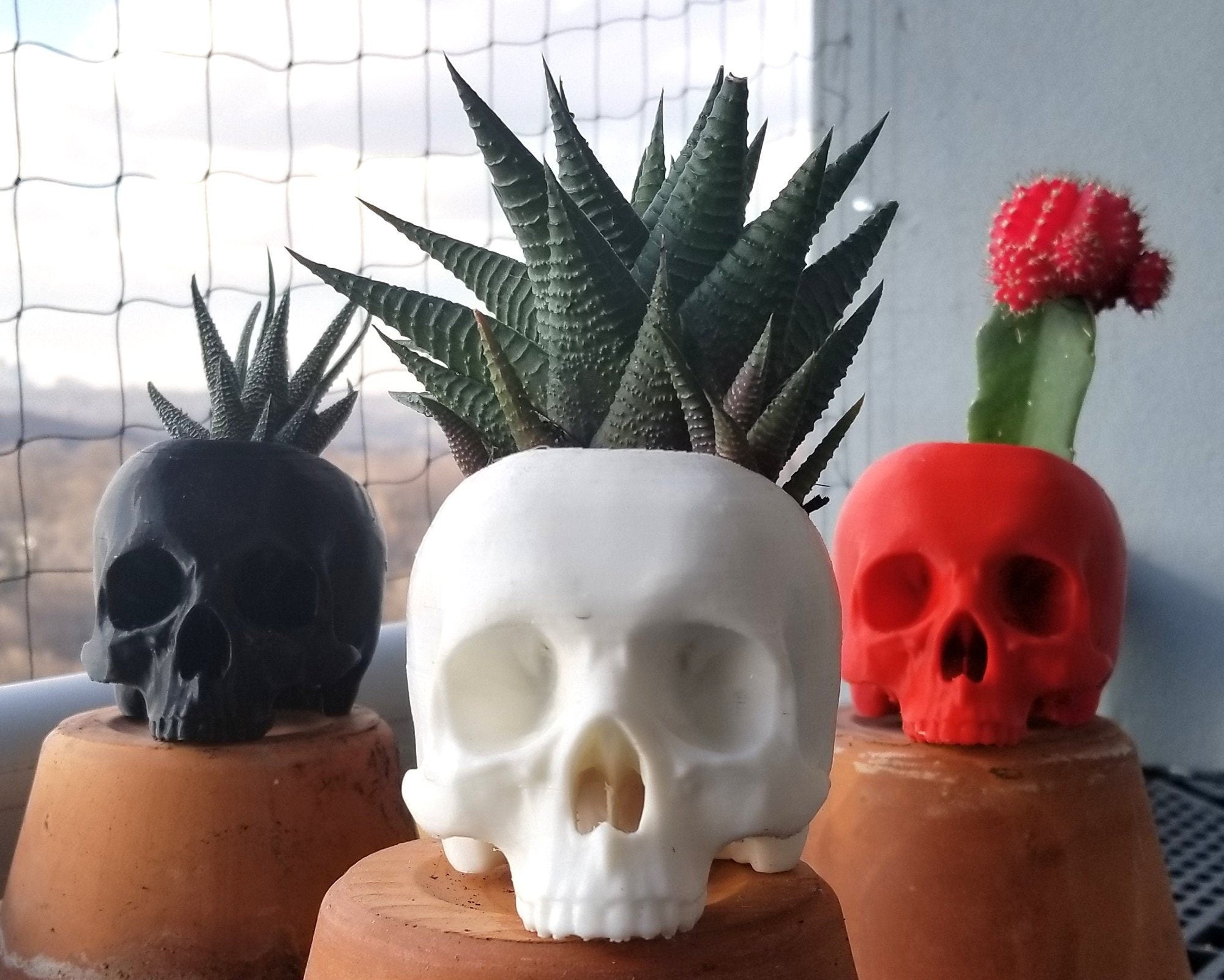 skull succulent Skull Succulent Planter • Gothic Home Garden Decor • 3D Printed