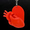 Anatomical Heart on Heart Charm