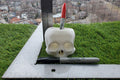 Skull Succulent Planter || Gothic Garden Decor || 3D Printed