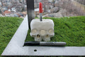 Conjoined Skull Succulent Planter || Gothic Garden Decor || 3D Printed