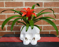 Large Conjoined Skull Succulent Planter || Gothic Garden Decor || 3D Printed