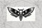 Death Head Moth Permanent Vinyl Decal || Gothic Home Decor Halloween Decoration Deaths Head Hawkmoth Sticker