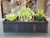 Large 10 inch Casket Planter || goth gothic garden accessories gardening pot  3d printed casket witch home decor zen garden