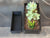 Large 10 inch Casket Planter || goth gothic garden accessories gardening pot  3d printed casket witch home decor zen garden