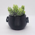 Cauldron Succulent Planter || Gothic Garden Decor || 3D Printed