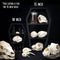 Extra Large Classic Coffin Shelf 15 inch Tall || Gothic Home Decor Goth Office Desk Accessory Witchy Crystal Tabletop Organizer || 3D Print