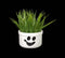 McGhost Halloween Succulent Planters Decoration || Gothic Home Decor Goth Accessory Witchy Ornament McBucket Haunted Spooky || 3D Printed