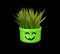 McWitch Halloween Succulent Planters Decoration || Gothic Home Decor Goth Accessory Witchy Ornament McBucket Haunted Spooky || 3D Printed