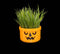 McGoblin Halloween Succulent Planters Decoration || Gothic Home Decor Goth Accessory Witchy Ornament McBucket Haunted Spooky || 3D Printed