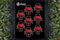 Christmas Coffin gift tags 6x8 Sticker Sheet Stickers